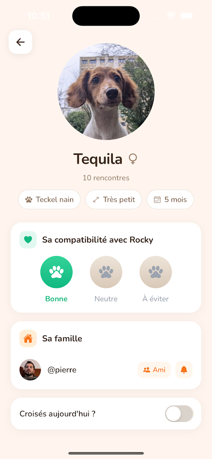 Profil détaillé d'un chien avec sa compatibilité